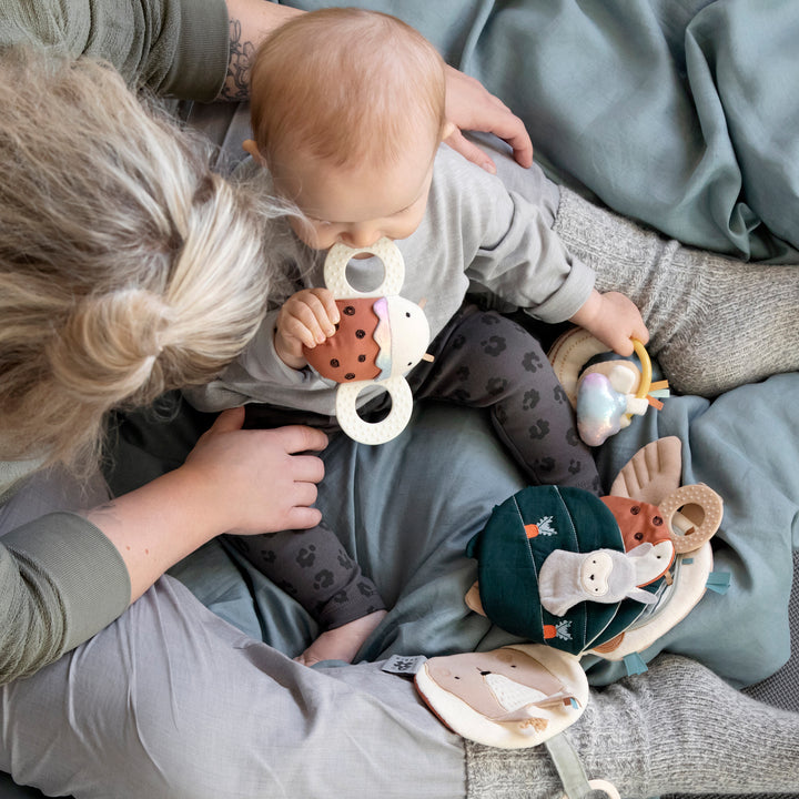 Ladybird Activity Rattle by Sebra