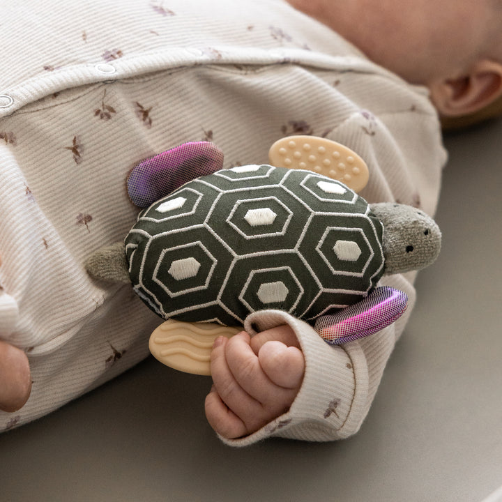 Turbo The Turtle Activity rattle And Mirror