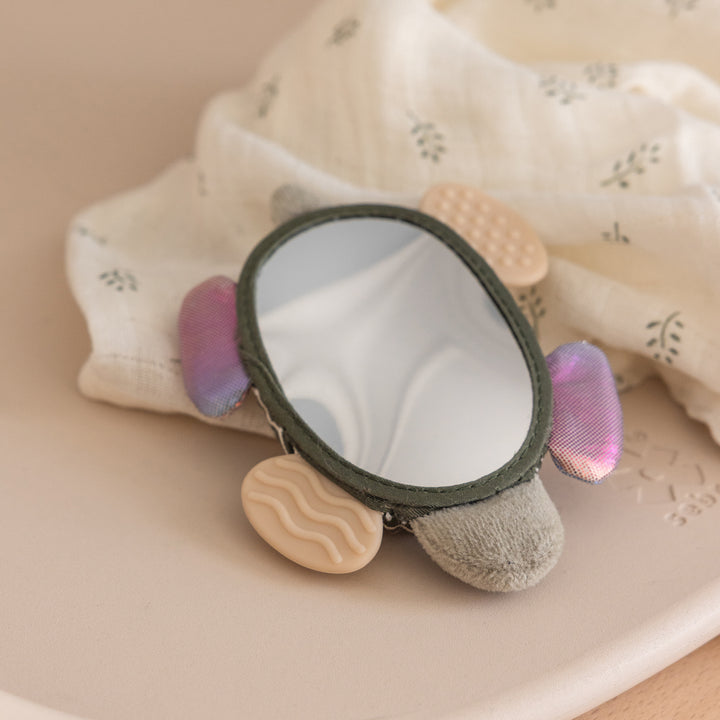 Turbo The Turtle Activity rattle And Mirror