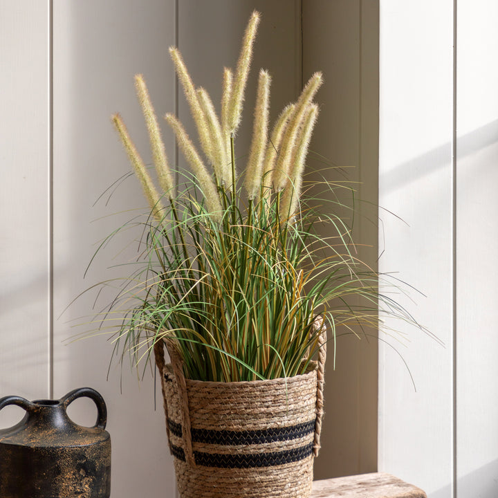 Potted Grass with Cattail Seed Heads