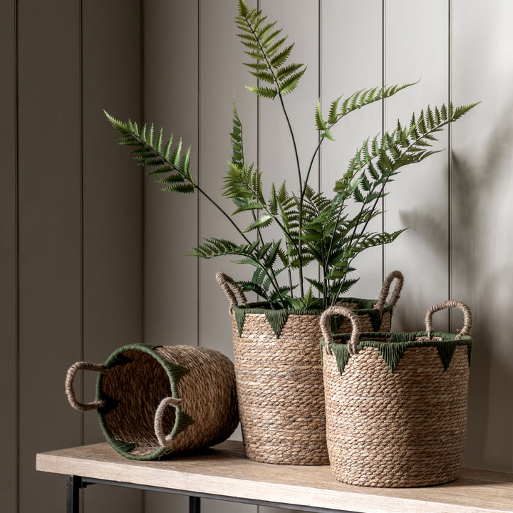 Elgon Baskets In Natural & Green Set of 3