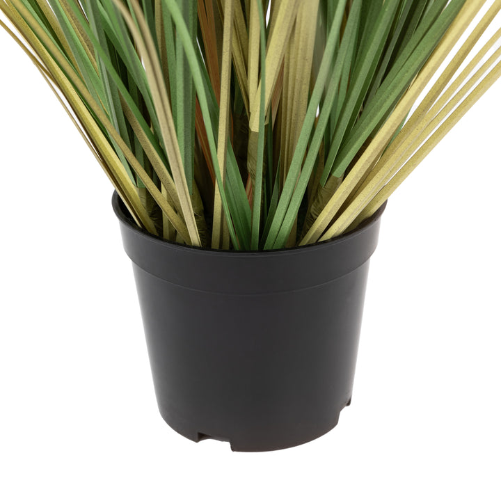 Potted Grass with Cattail Seed Heads