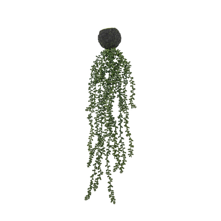 String of Pearls in Soil