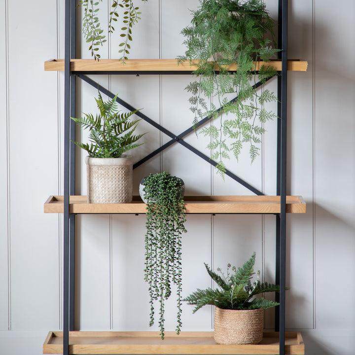 String of Pearls in Soil