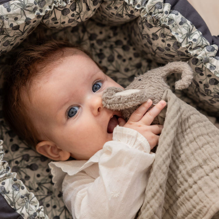 Comfort blanket, Finley the Elephant