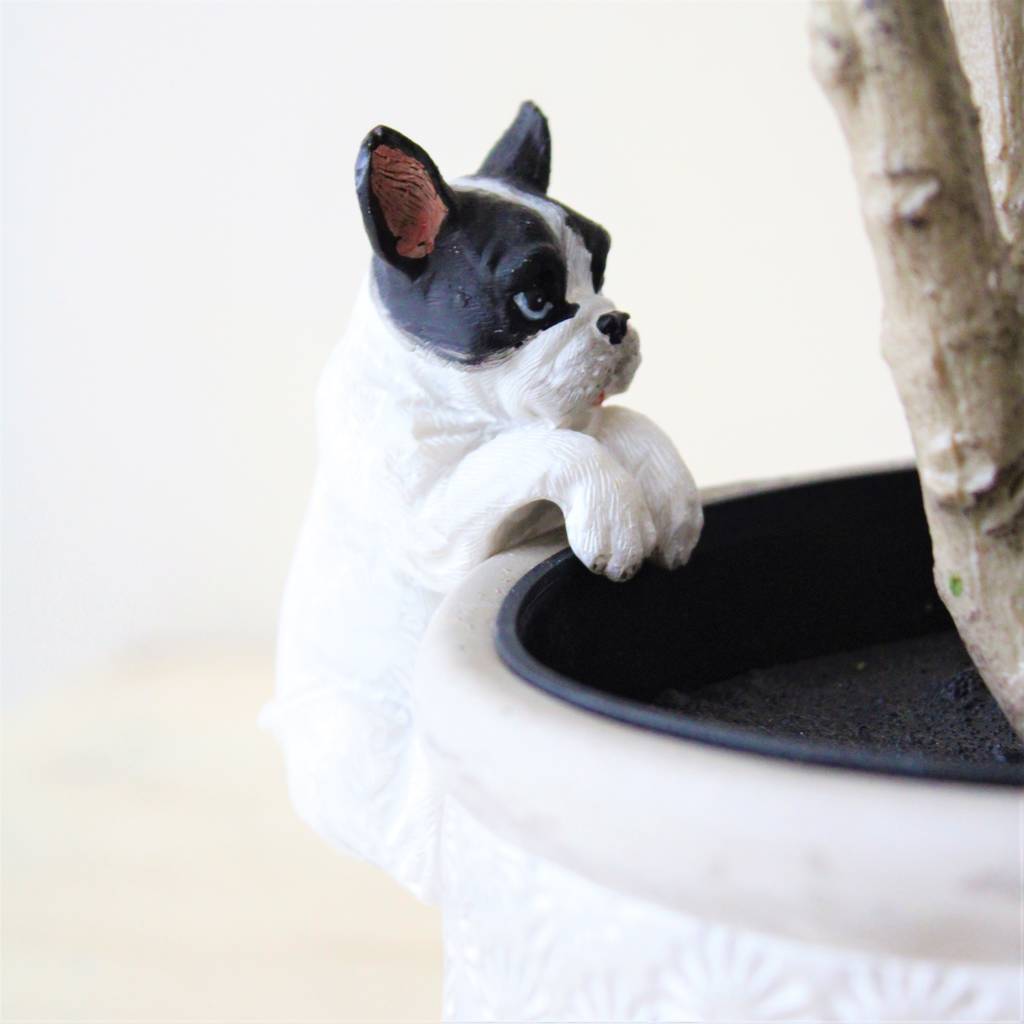 Fransk Bulldog Pot Hanger