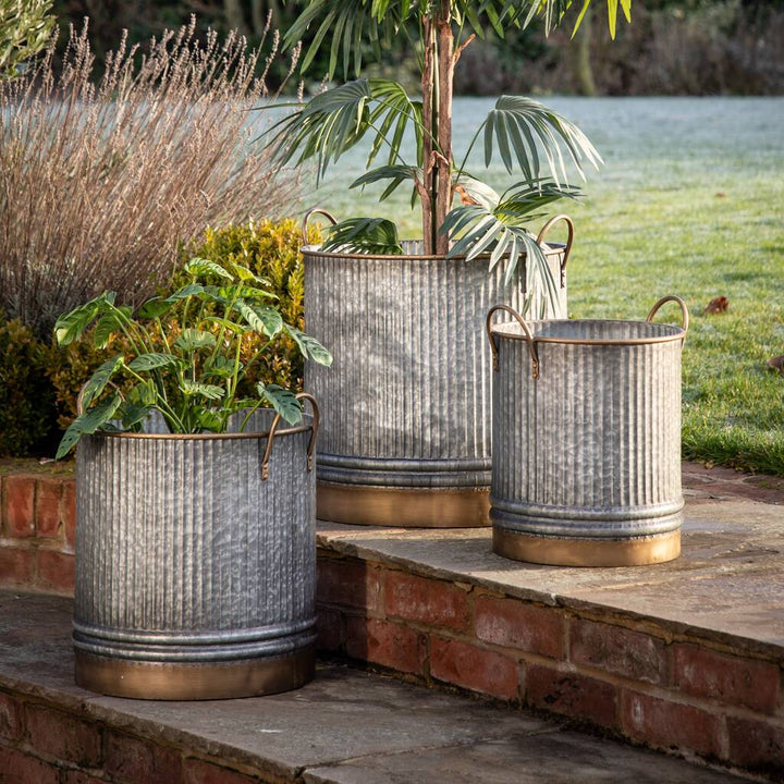 Three ribbed galvanised metal planters with antiqued gold handles bases, positioned on a brick surface with plants inside, in an outdoor setting.