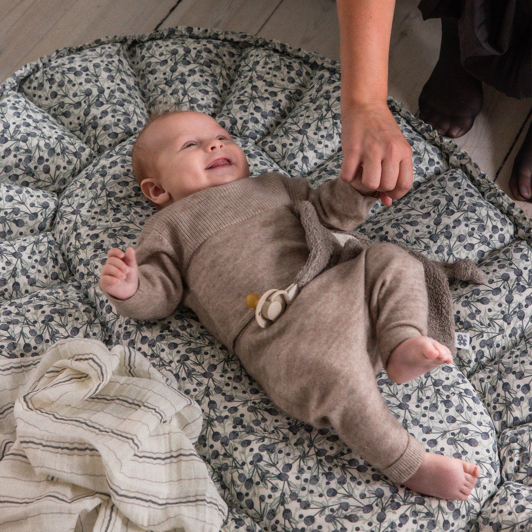 Sebra 3-in-1 Baby Nest, Blue Olive