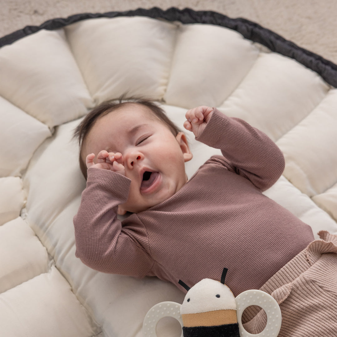 Sebra 3-in-1 Baby Nest in Dark Grey Melange