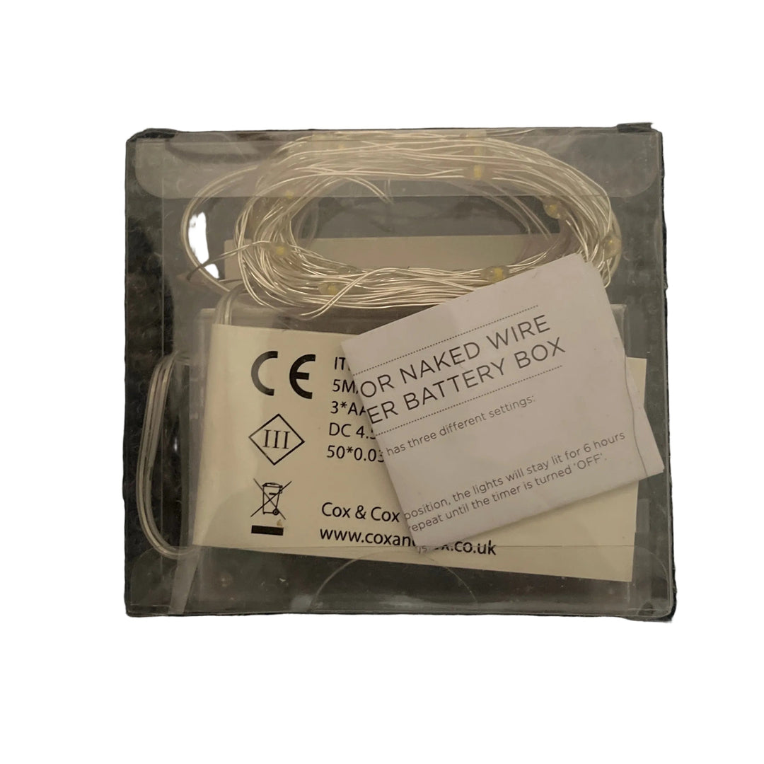 Cox & Cox Naked Wire Lights 5M