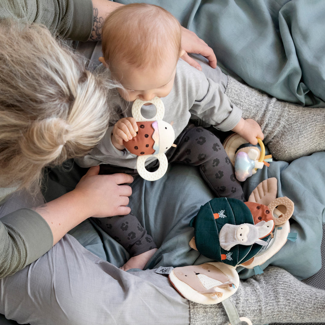 Ladybird Activity Rattle by Sebra
