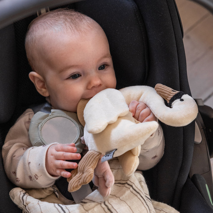 Sebra Swan Hanging Activity Toy