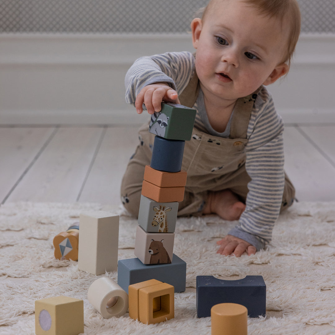 The World of Sebra Magic Wooden Blocks Box