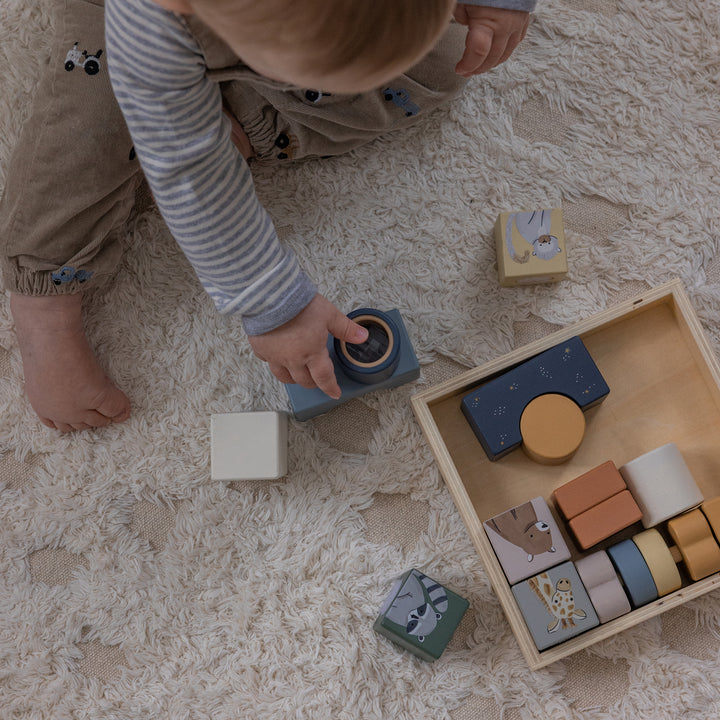 The World of Sebra Magic Wooden Blocks Box