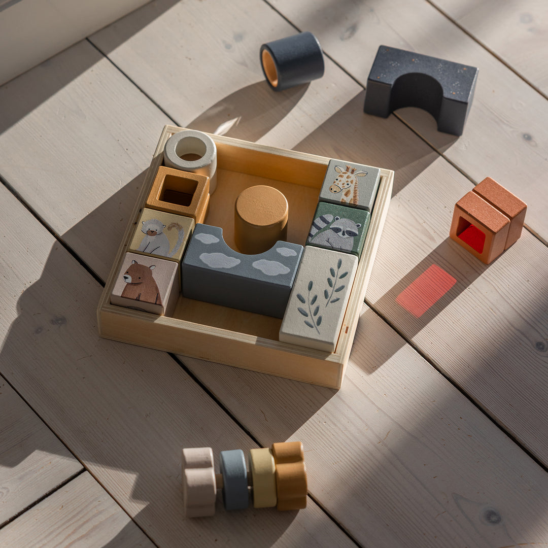 The World of Sebra Magic Wooden Blocks Box