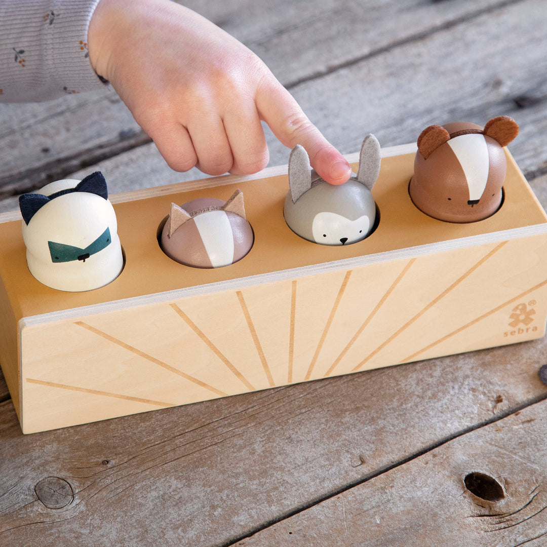 Woodland Animals Pop Up Toy By Sebra