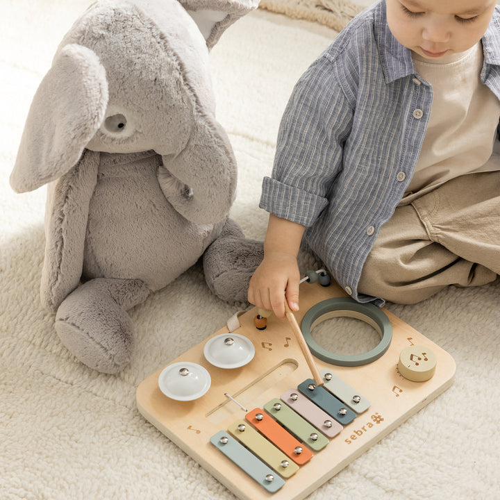 Music Wooden Activity Panel By Sebra