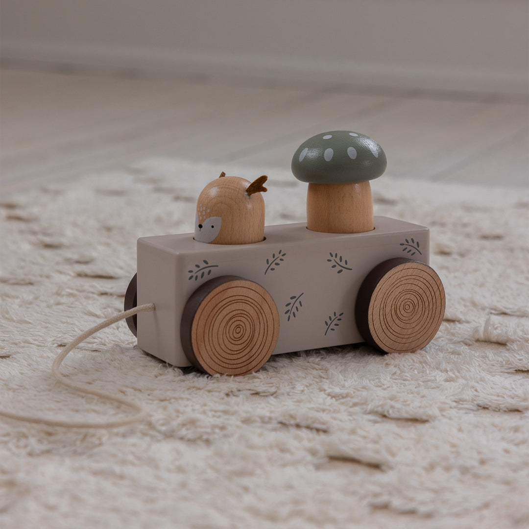 Sebra Pop-up Pull Along Wooden Toy
