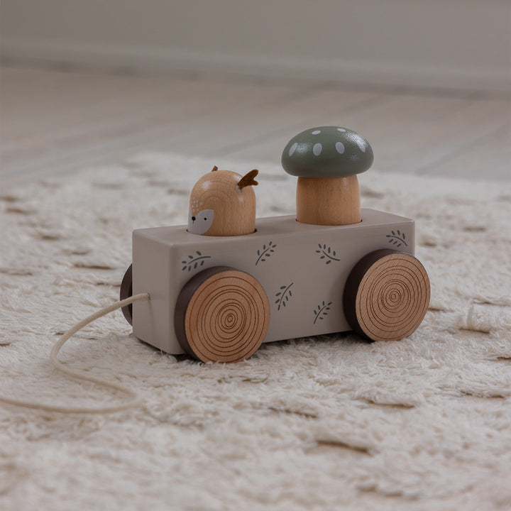Sebra Pop-up Pull Along Wooden Toy