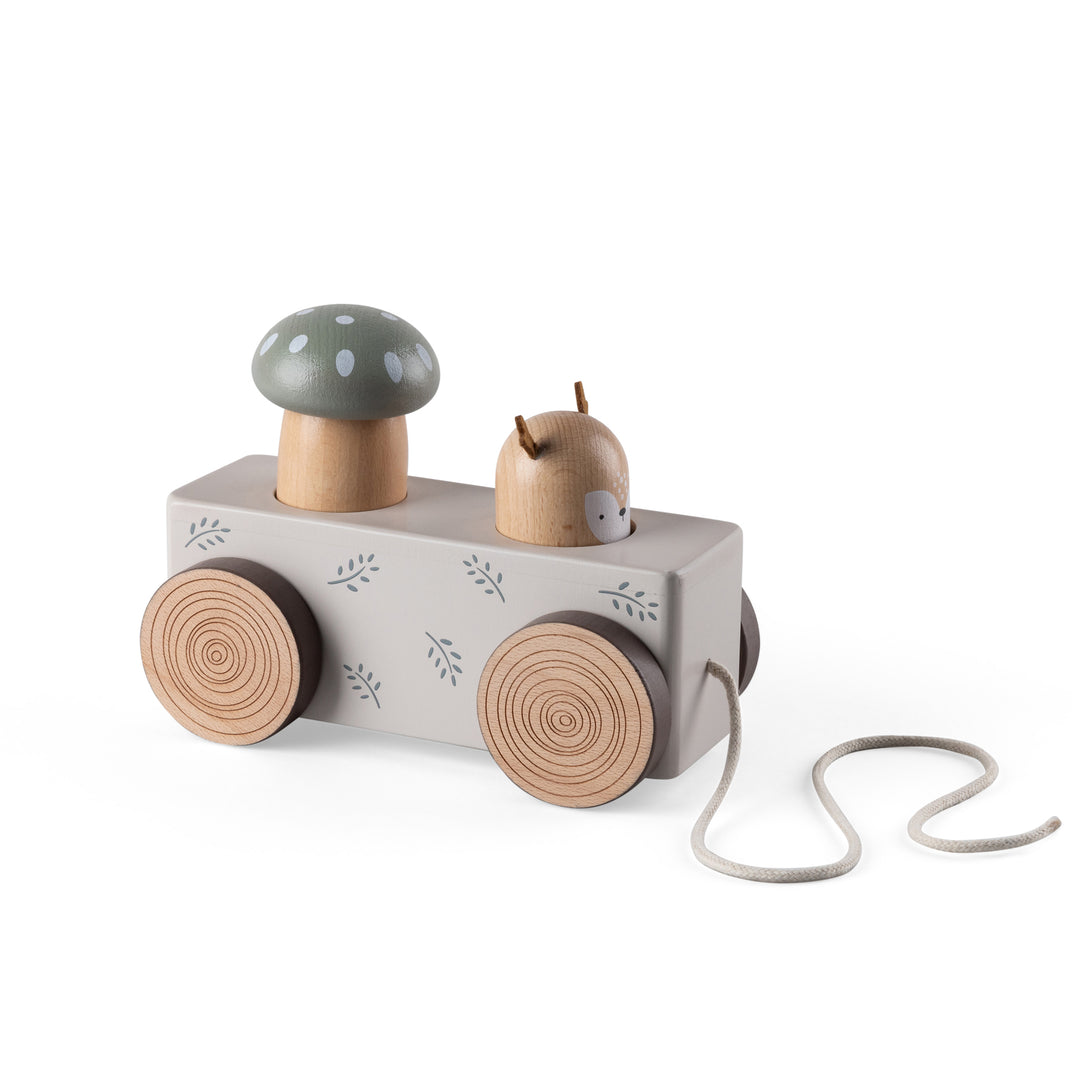 Sebra Pop-up Pull Along Wooden Toy