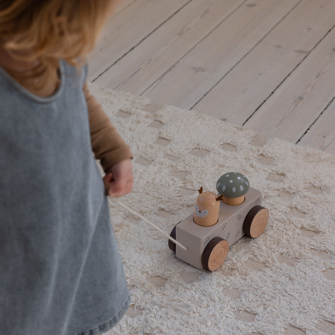 Sebra Pop-up Pull Along Wooden Toy