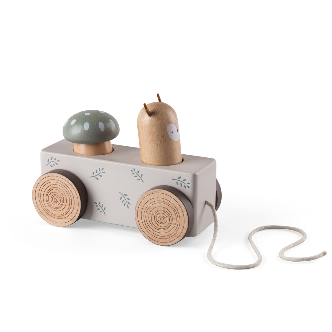 Sebra Pop-up Pull Along Wooden Toy