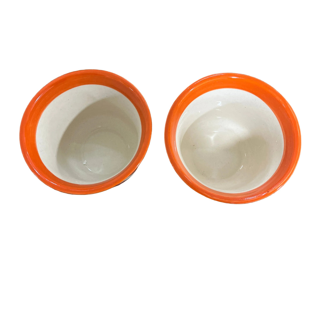 Set of 2 Hen Plant Pots