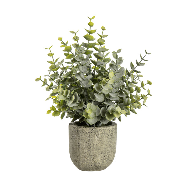 Small Potted Eucalyptus Faux Plant