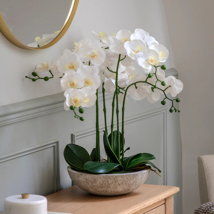Oversized Orchid in Cement Pot White