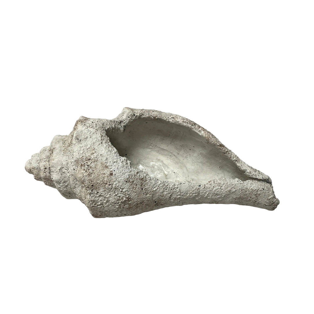 Mystic Large Conch Shell Garden Ornament