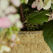 Corp Vase in Beige