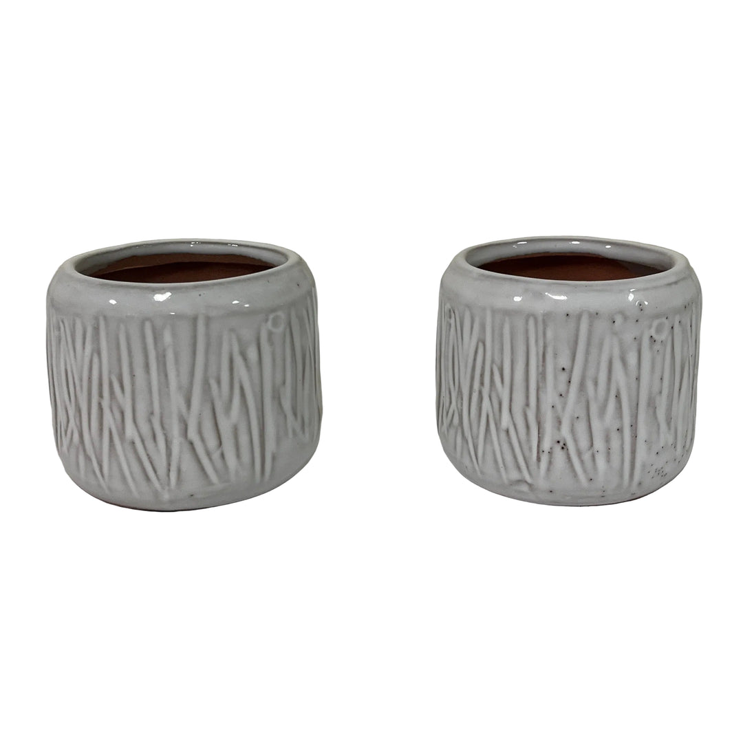 Pair of Cactus Pot Grasses