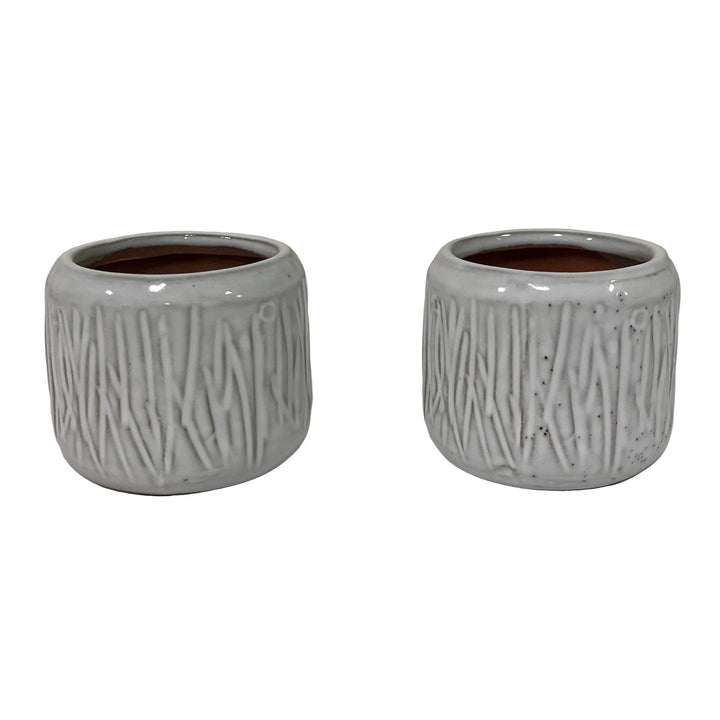 Pair of Cactus Pot Grasses