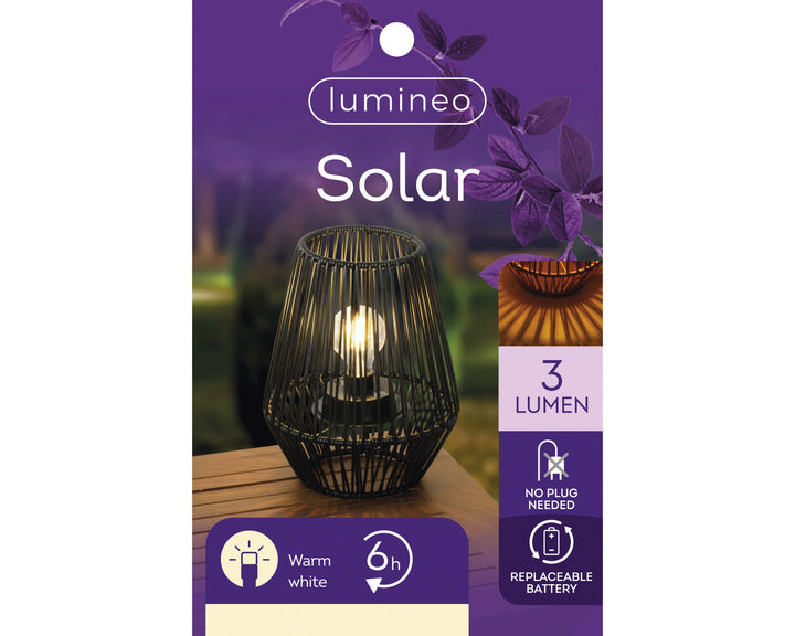Solar Wicker Lantern in Black