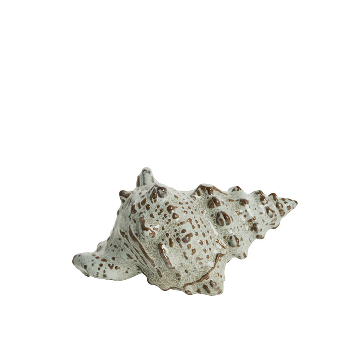 Shellille Shell Decoration
