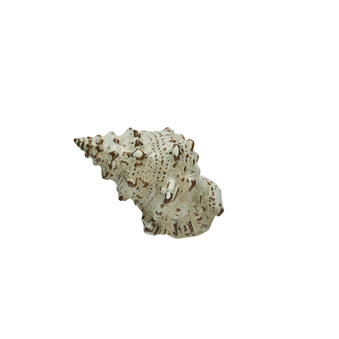 Shellille Shell Decoration
