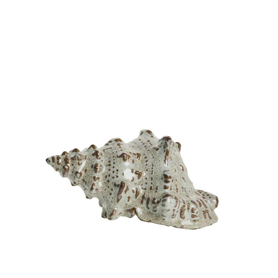 Shellille Shell Decoration