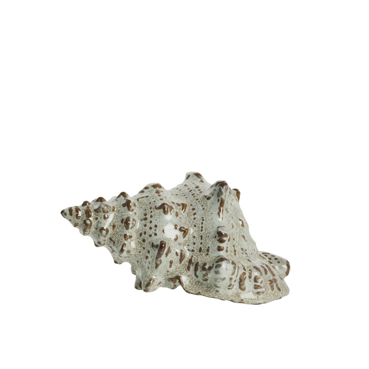 Shellille Shell Decoration
