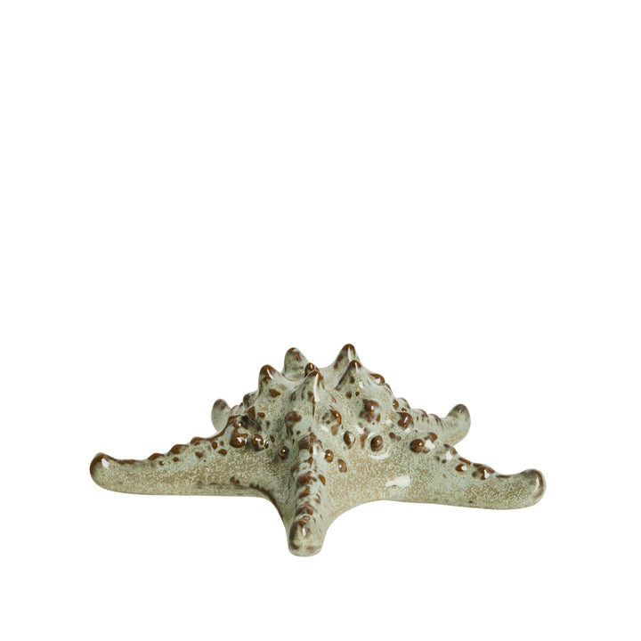 Shellille Starfish Decoration