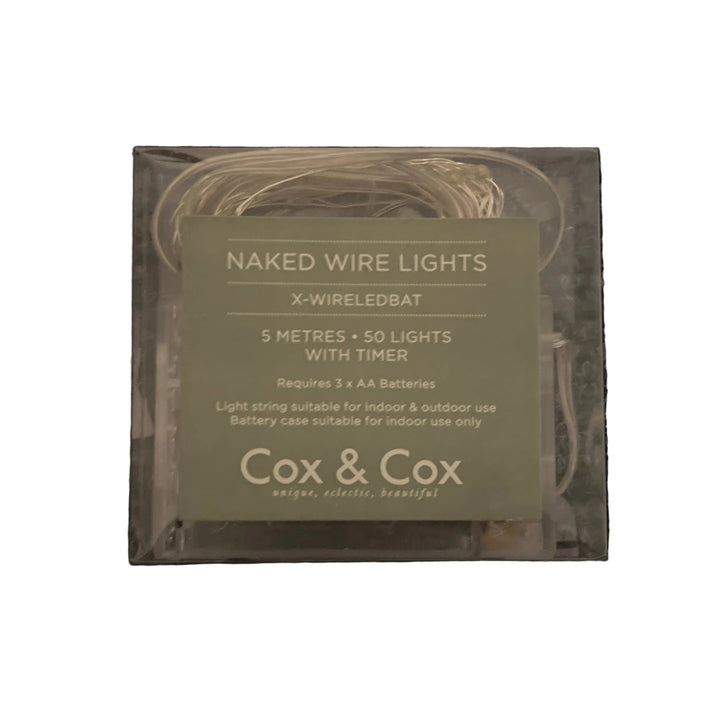 Cox & Cox Naked Wire Lights 5M
