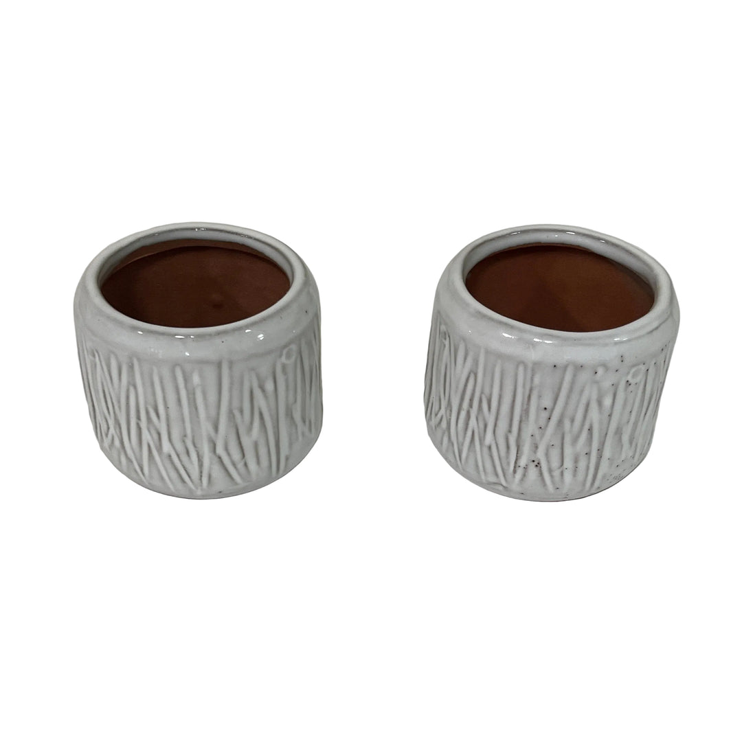 Pair of Cactus Pot Grasses