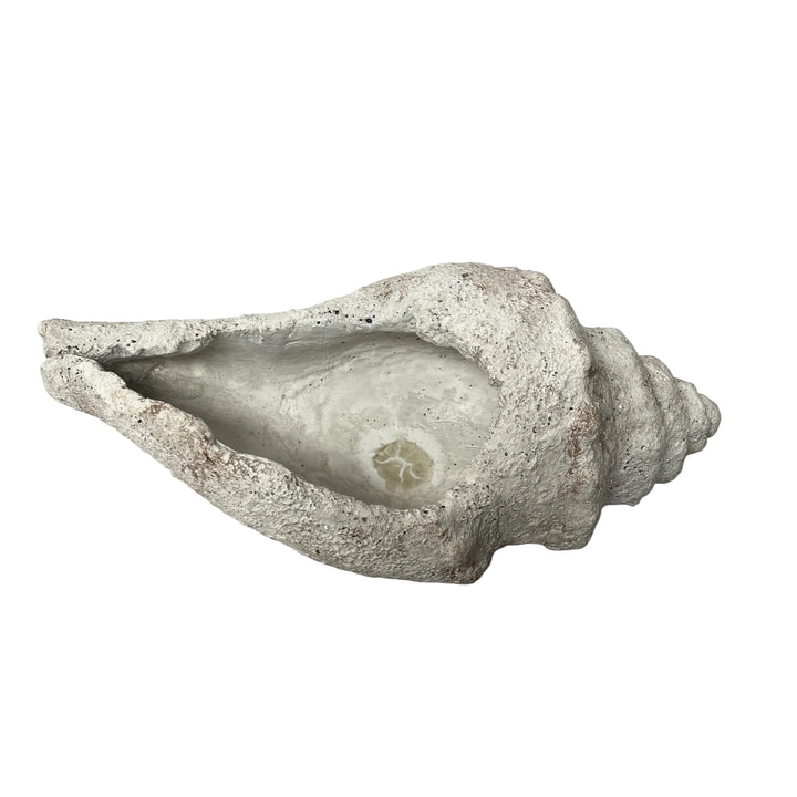Mystic Large Conch Shell Garden Ornament