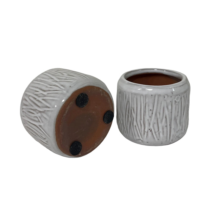 Pair of Cactus Pot Grasses