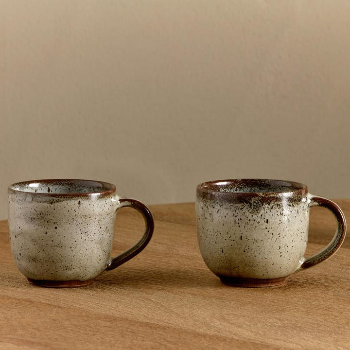 Cam Coffee Mug in Mocha Set of 2