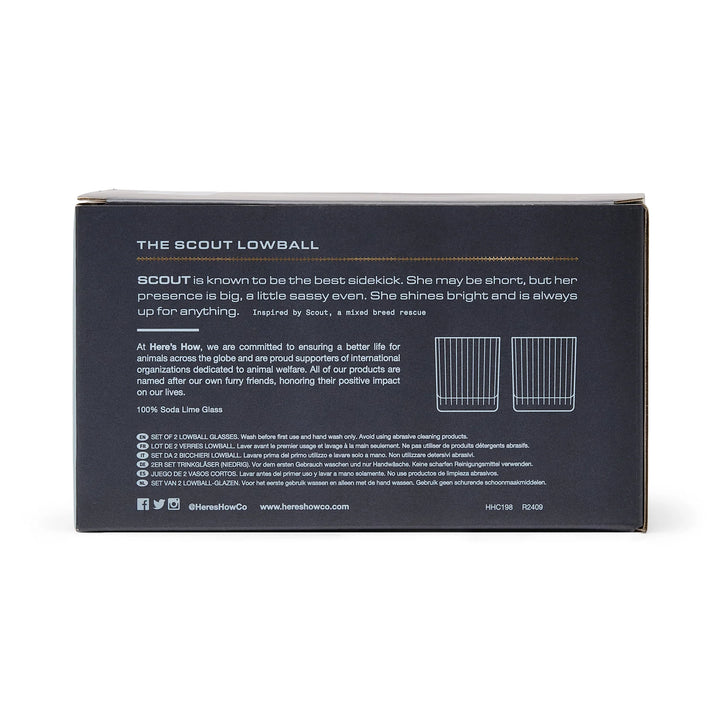 The Scout Lowball Glass Set of 2 Blue