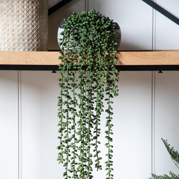 String of Pearls in Soil