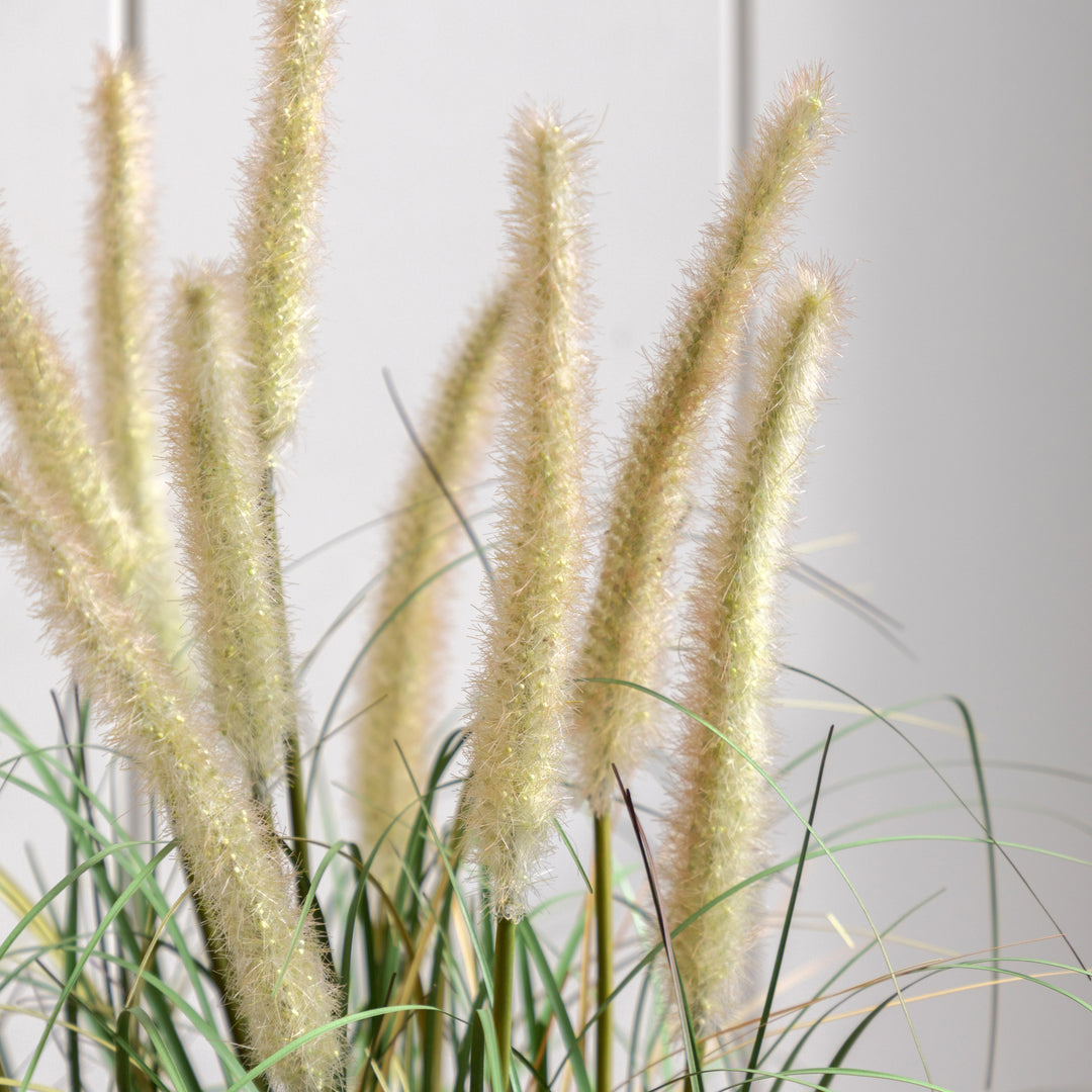 Potted Grass with Cattail Seed Heads