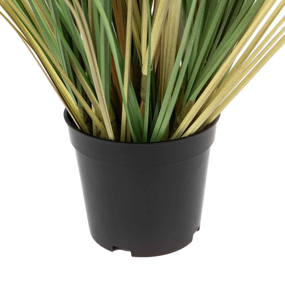 Potted Grass with Cattail Seed Heads
