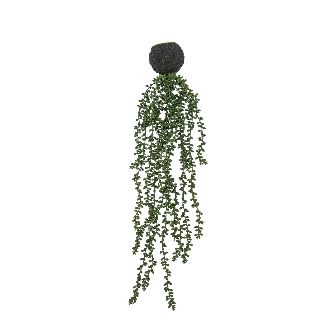 String of Pearls in Soil