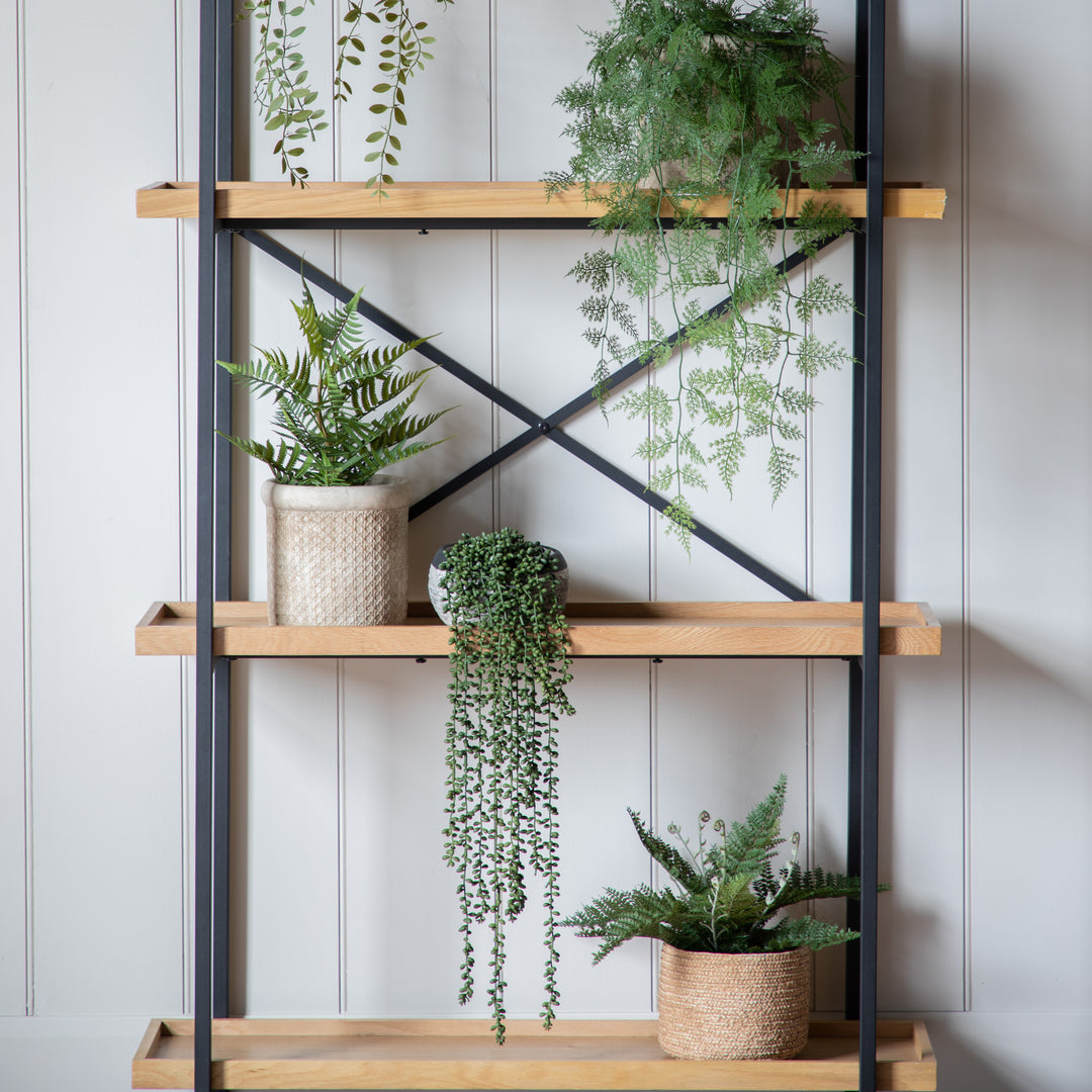 String of Pearls in Soil